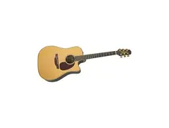 Takamine TAN15C