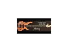 Washburn Force 5 ABT Séries main image