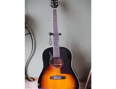 Jay Turser JTA-49VS Acoustic Guitar main image