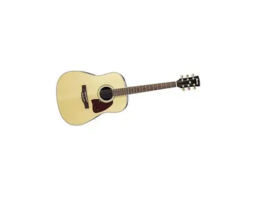 Ibanez AW800