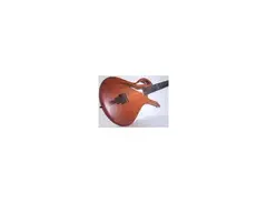 Paradise Acoustic electric guitar