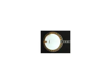 Vega Vox Deluxe banjo