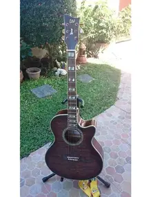 LTD Xtone Series