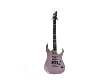 Washburn WR150