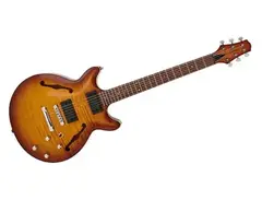 Carvin FG1 Frank Gambale signature main image
