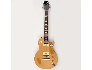 Doodad Guitars St. Peter Goldtop