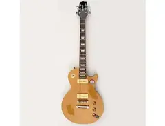 Doodad Guitars St. Peter Goldtop main image