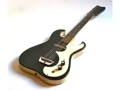 Sears Silvertone Danelectro main image