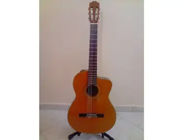 TAKAMINE nylon, solid cedar top