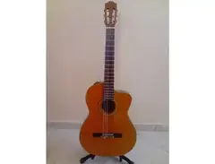 TAKAMINE nylon, solid cedar top main image