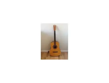 Eko Studio L Acoustic Guitar