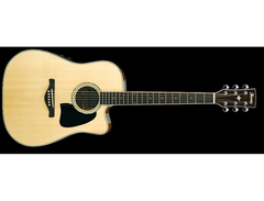 Ibanez AW300ECE-NT main image