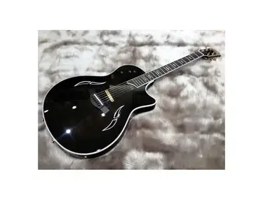 Taylor T5-C1
