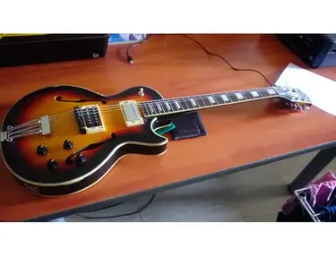 Prince Les Paul Hollowbody Guitar