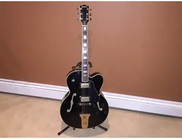Sebring Hollow-Body Electric Guitar