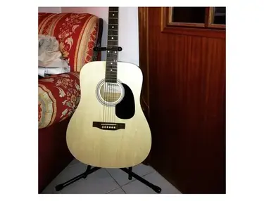 Sherwood Acoustic Guitar