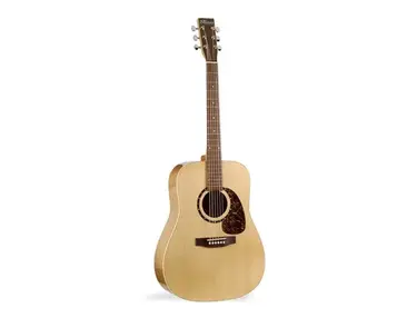 Norman B20 HG Acoustic guitar