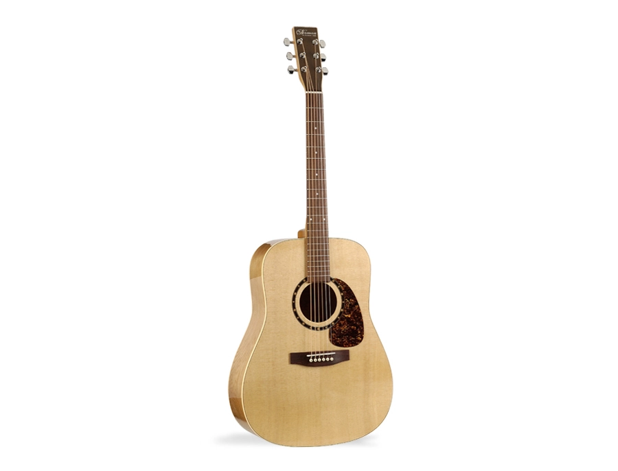 Norman B20 HG Acoustic guitar - What To Know & Where To Buy