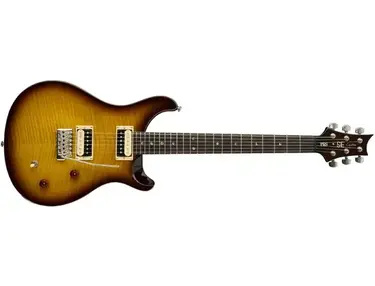 PRS SE Custom 22
