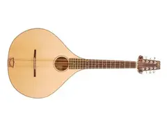 Fylde Touchstone Mandola main image