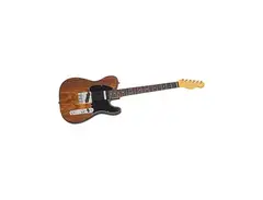 Fender Palo Escrito Telecaster main image