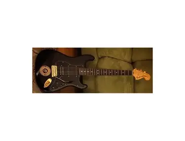 Fender Stratocaster WS Black