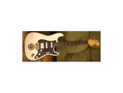 Fender Stratocaster WS