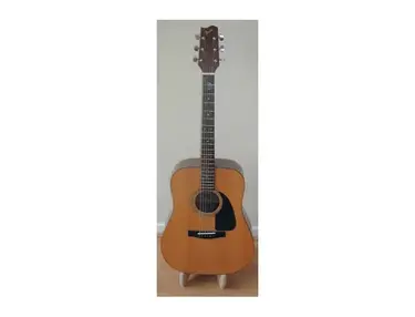 Fender Gemini II