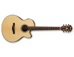 Ibanez AELBT1 Baritone main image