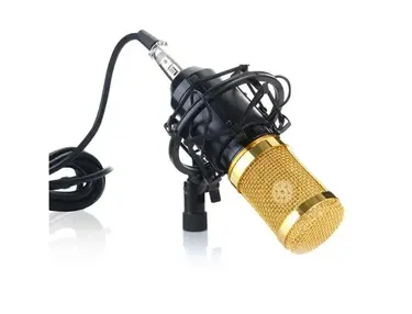 BM-800 Condenser Microphone