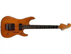 Washburn N4EPNM