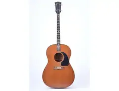 Gibson TG-0