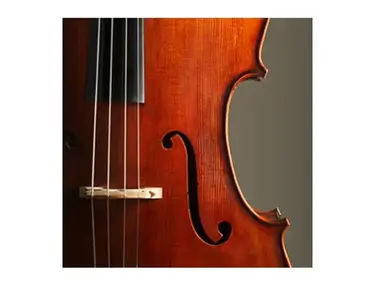 Orchestral Strings