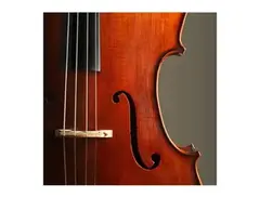 Orchestral Strings main image