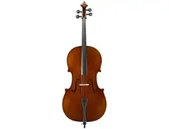Eastman String Ivan Dunov VC401