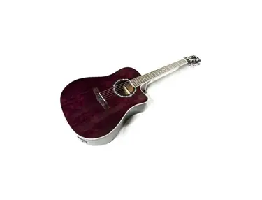 Fender T-Bucket 300CE Ash Transparent Violet