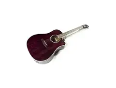 Fender T-Bucket 300CE Ash Transparent Violet main image