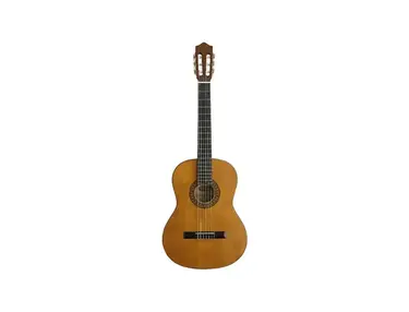 Stagg C442