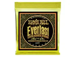 Ernie Ball Everlast 80/20 Bronze Acoustic Guitar Strings (11-52)