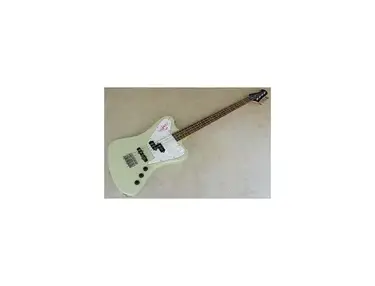 Epiphone Non Reverse Thunderbird V