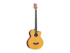 Strinberg Guitars BA-450 4 Strings Acoustic Bass main image