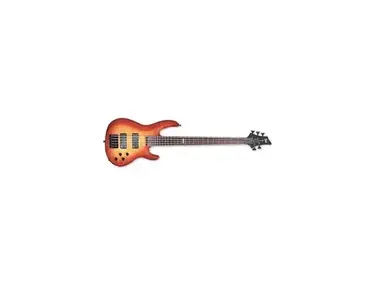 LTD 5-String B-155 Bass