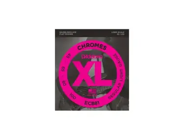 D'Addario Chromes Flat Wound ECB81 45-100