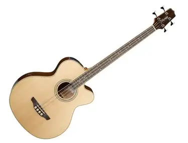 Takamine G-Series EGBS2S Cutaway Acoustic/Electric Bass