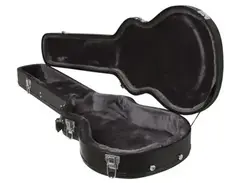 Epiphone Les Paul Standard Hard Case