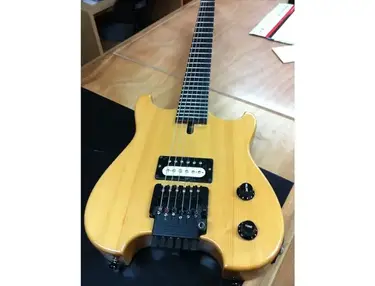 Bill DeLap custom headless