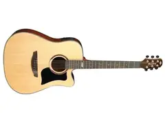 Strinberg Guitars AF 65C main image