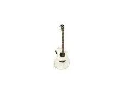 Yamaha APX1000 VW main image