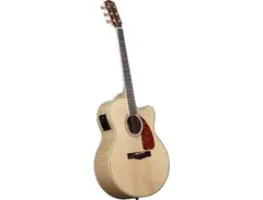 Fender CJ-290SCE Jumbo Maple V2 is a newer version of Fender CJ290SCE