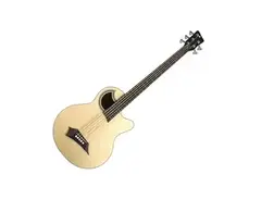 Warwick Alien Fretless Bass
